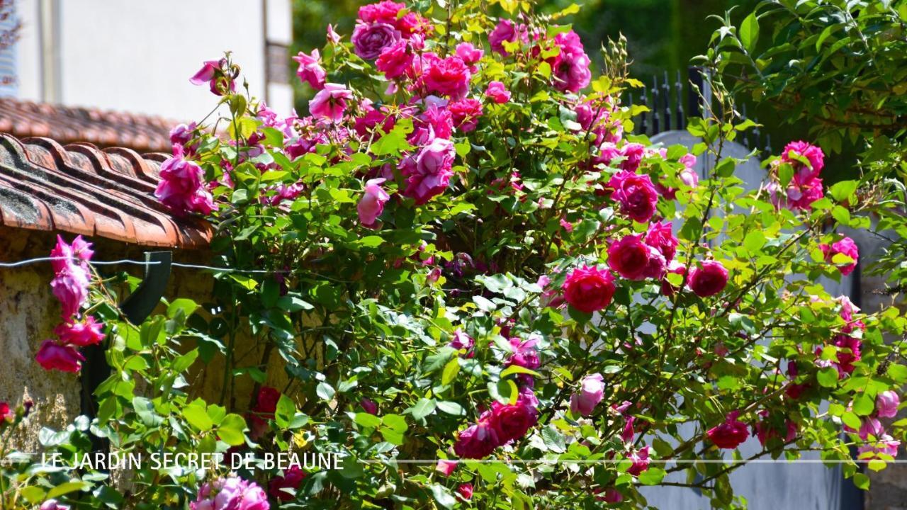 Le Jardin Secret De Beaune Beaune  Esterno foto